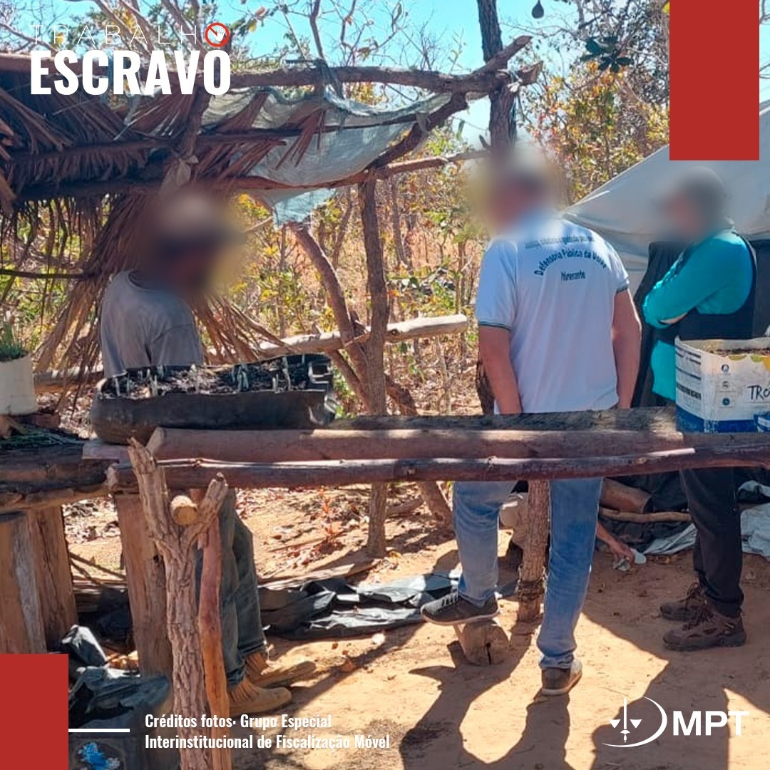 Operações de Combate ao Trabalho Análogo à Escravidão