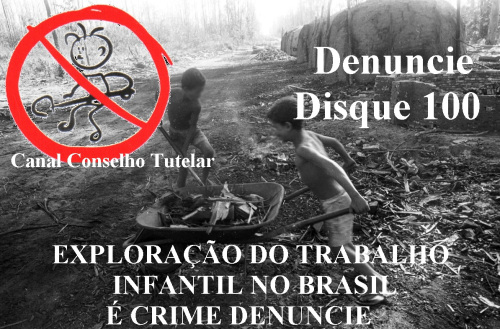 CONGRESSO MOSTRA A REALIDADE DO TRABALHO INFANTIL NA REGIÃO OESTE DE SANTA CATARINA